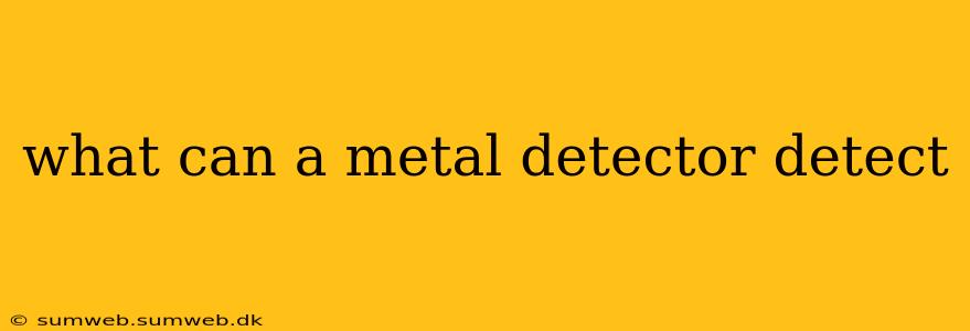 what can a metal detector detect