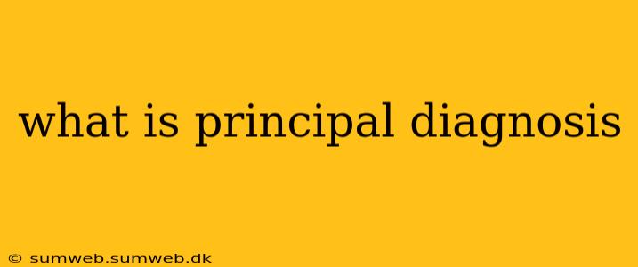 what is principal diagnosis